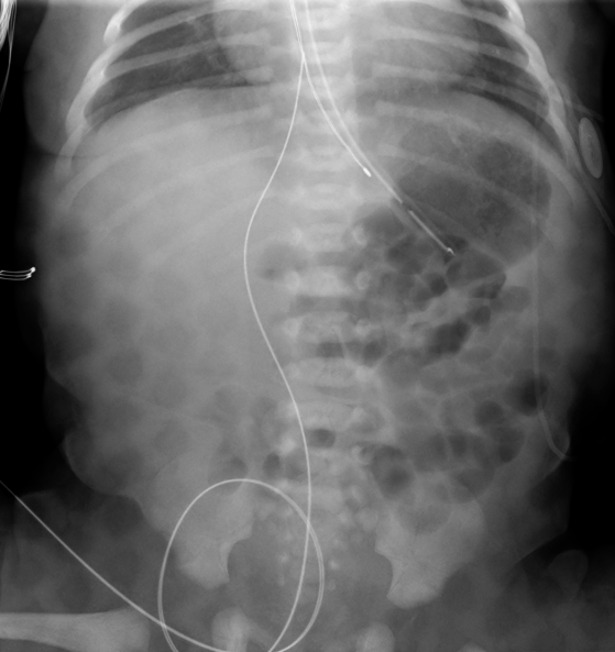 Case image 1